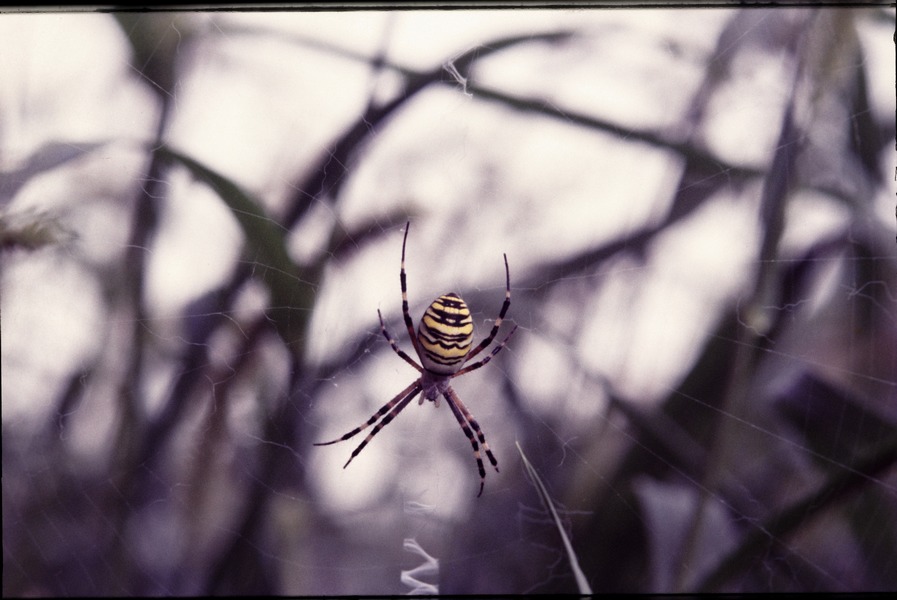 00001398