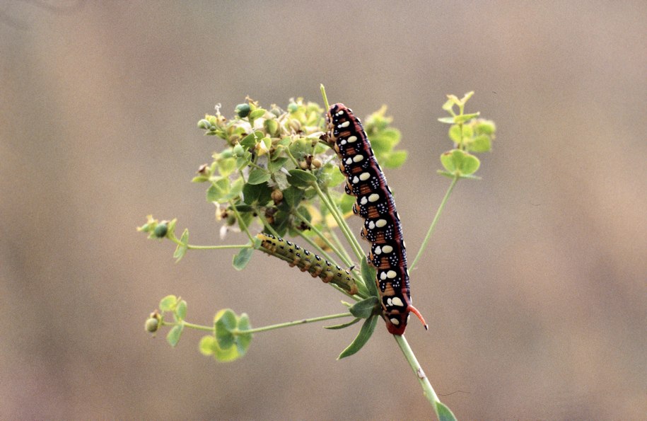00001410